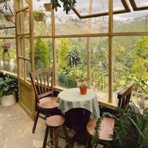 Ghế cafe lưng tiện